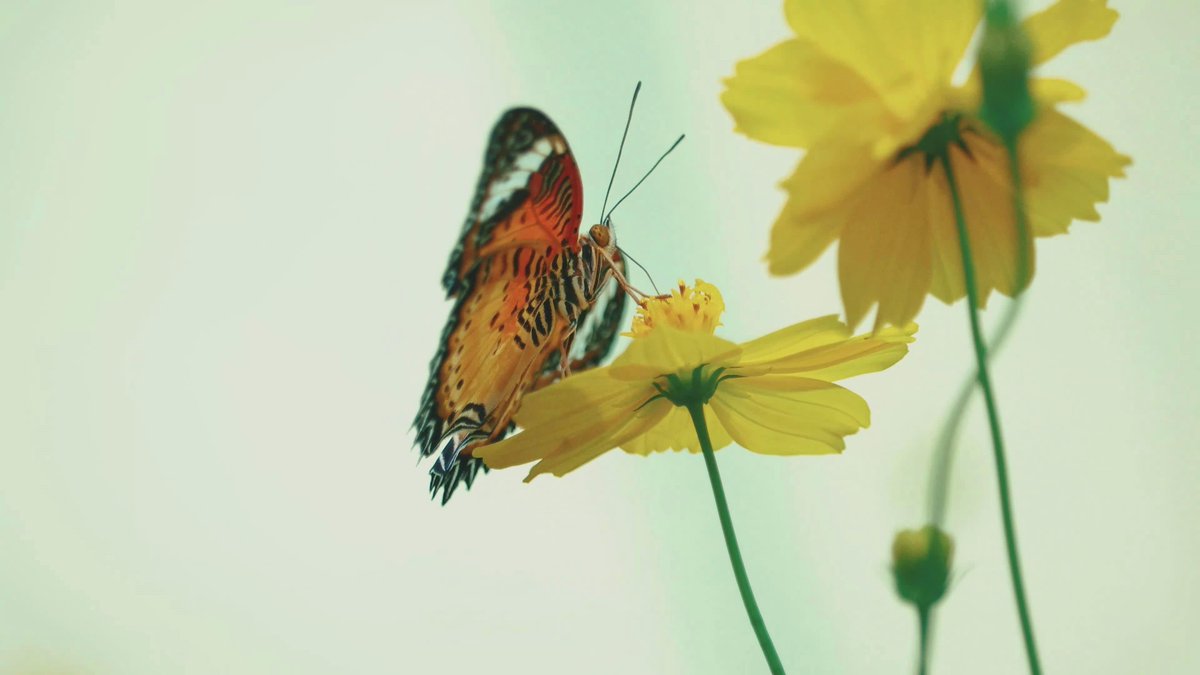 Equality is about giving rural and urban🍄 communities equal chan🌹ces to thrive. Let’s bridge the divide.  RegionalDiversity Equity https://t.co/4szneu6LUR