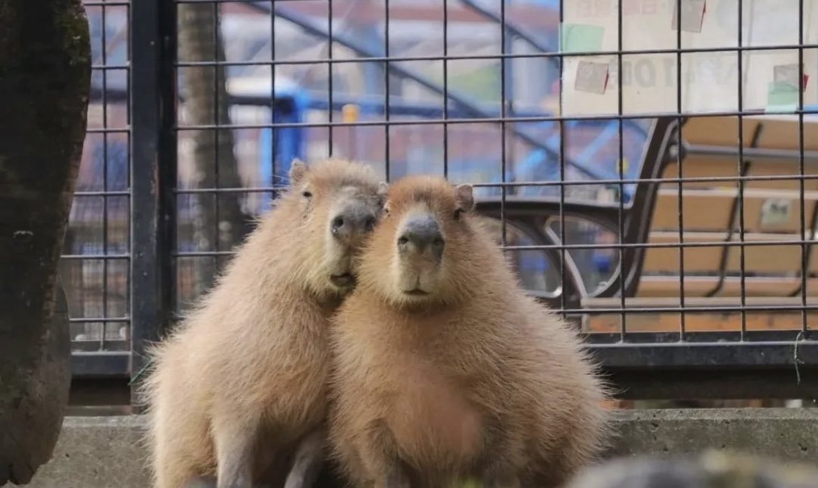 @Sixrande This us https://t.co/jeavRtn9IN