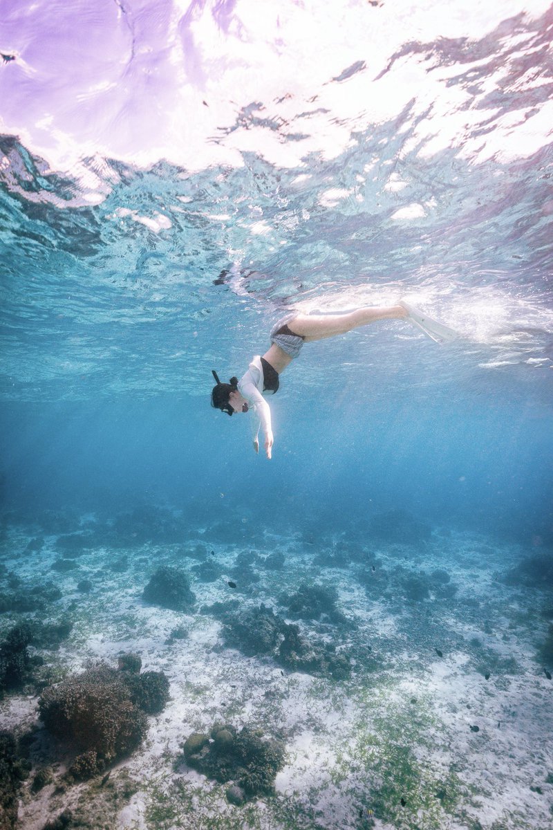 Learning freediving in beautiful Bohol 🩵

https://t.co/nxrr9O1sGy https://t.co/upJX8fpGFs