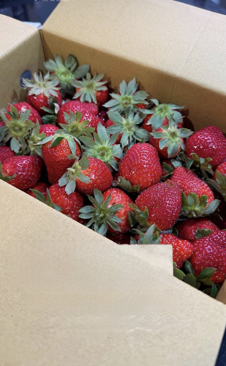 感謝外送草莓好幸福🥹❤️❤️❤️真的漂亮又好吃、香氣十足！昨天的自採價才360、也太佛了吧✨✨✨寬寬同學家的草莓園真的不推不行欸 自然醒，自採價格為浮動可以電話詢問喔！ https://t.co/0Up3SKjsO6