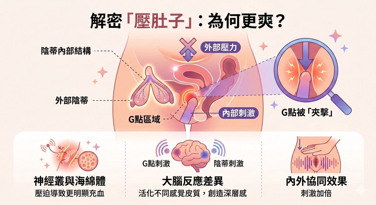 為什麼抽插時「壓肚子」會爽到升天？🤫
很多人以為那只是姿勢問題，錯！那是專業的「內外夾攻」。
1️⃣ 雙面夾擊 G 點：
G 點就在陰道前壁 2-3 公分處。你從外面壓肚子，等於把陰道壁「夾」在手跟那根中間。刺激直接加倍，頂好頂滿！
2️⃣ 陰蒂不是只有一粒：
G 點其實是陰蒂內部構造的延伸。底下全是神經叢跟海綿體，壓下去會讓充血膨脹更明顯。那個「凸起感」就是這樣來的🤣
3️⃣ 大腦的異世界：
2004 年 Komisaruk 研究證實：陰道前壁跟陰蒂刺激會活化大腦「不同區域」。那種深層的酸爽感，跟摸外面完全是兩回事！
結論：下次試試墊高屁股＋壓下腹部，開啟新世界的大門。🔓