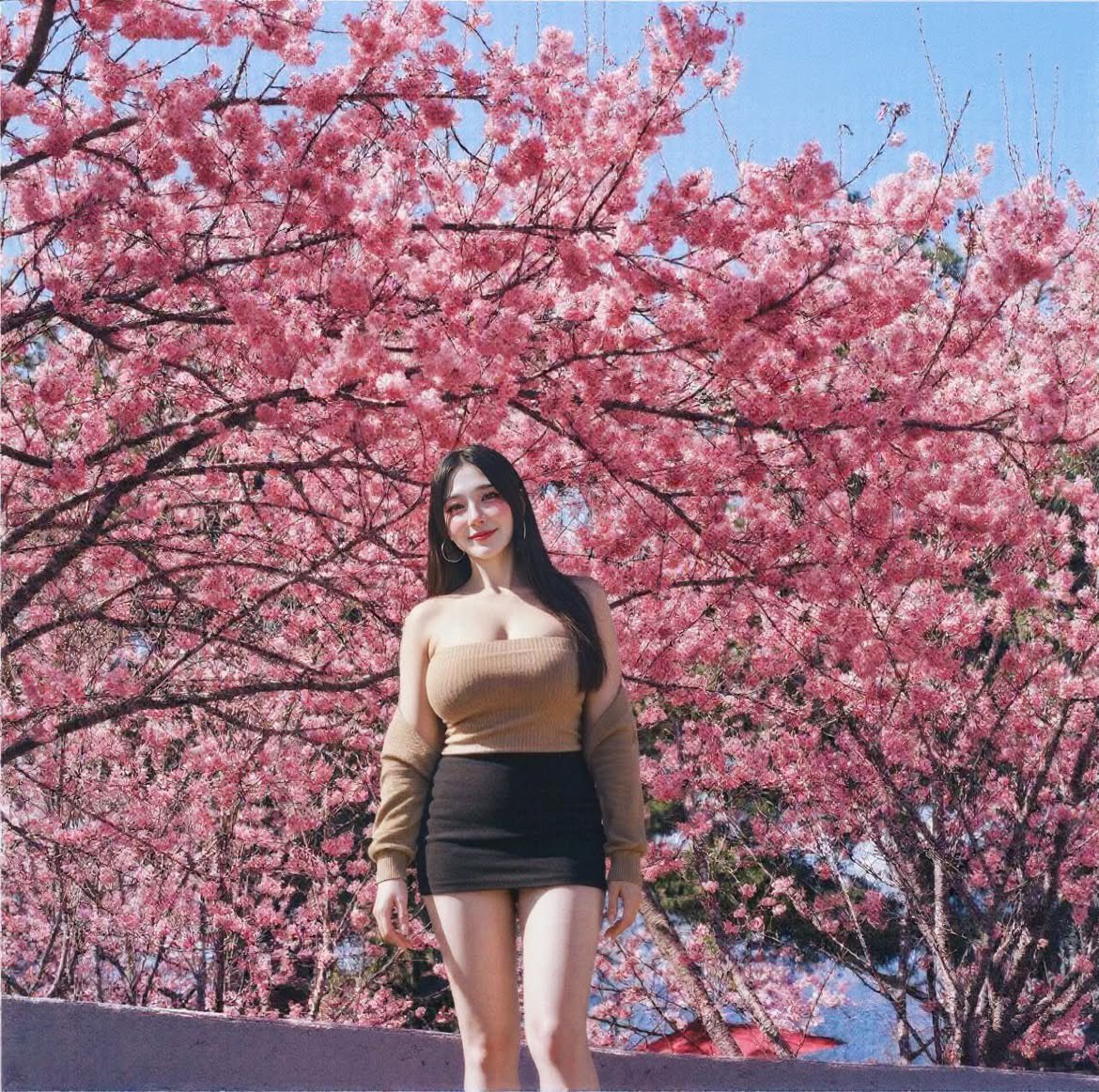 現在在公司都被叫蛇姬小妹🥹
其實公主姬這髮型實在很難駕馭
而且好難整理
變長還要自己修剪 不然特色會消失
前幾天跑去星嵐拉麵賞櫻
一整排的櫻花 好美呀!!🥰 https://t.co/oF1WFu9bKS