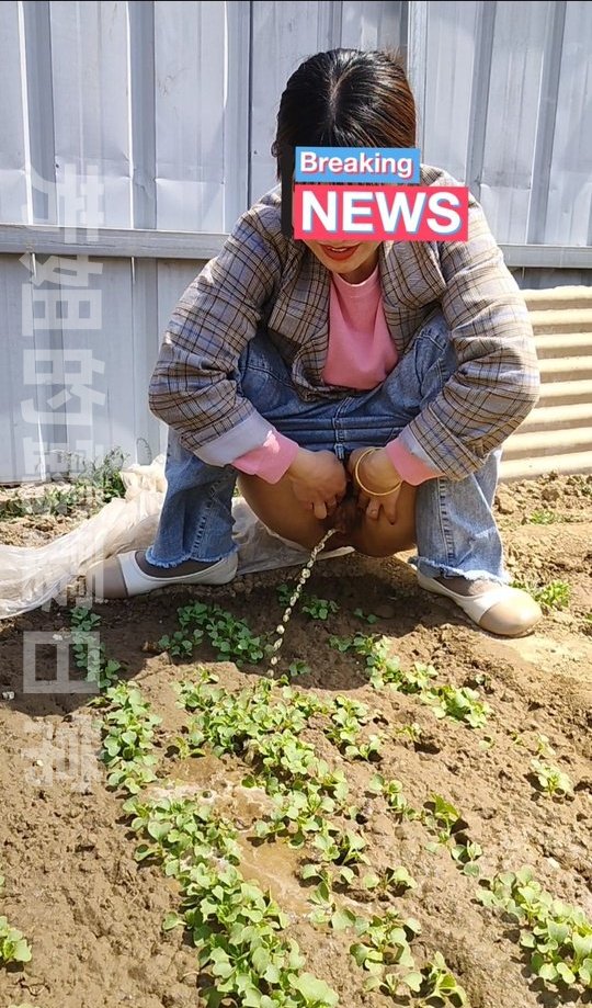 去田里摘菜的芳姐突然内急，甚至都不介意我爸也在场，直接蹲下就尿尿了，还笑着说给菜苗加点有机肥 https://t.co/JLtRLceTea