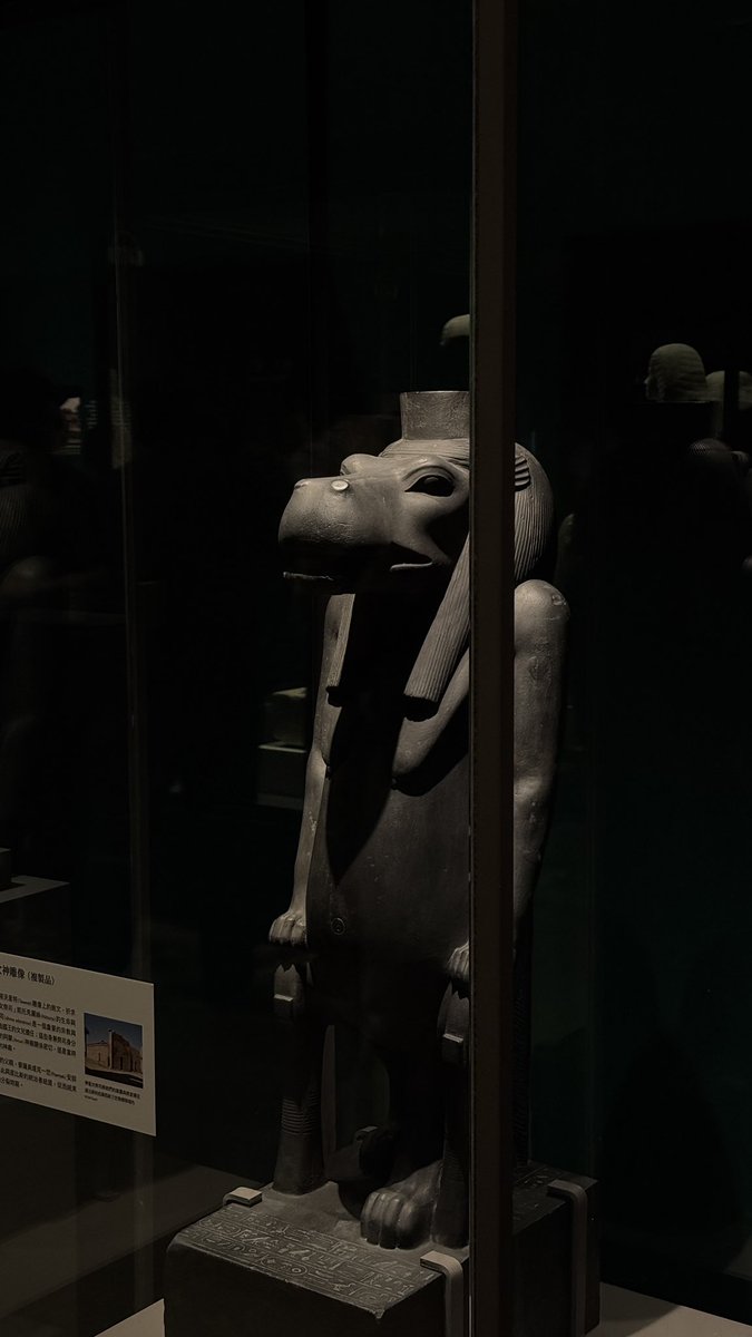 終於來看😍 https://t.co/ei6FVjzcfO