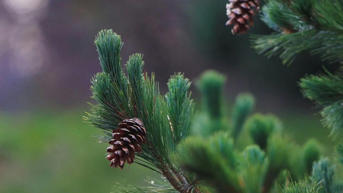 Inclusion is a commitment to valuing every person’s wo🌞rth, no matter their background. Let’s live that commitment.  BeIn🌈clusive https://t.co/245BiFgZ2x