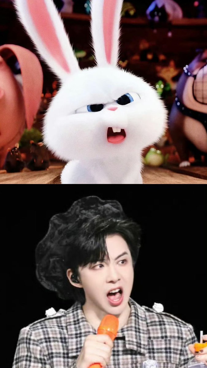 내 스노우볼토끼🫶🫶 https://t.co/1vCHhopJRf