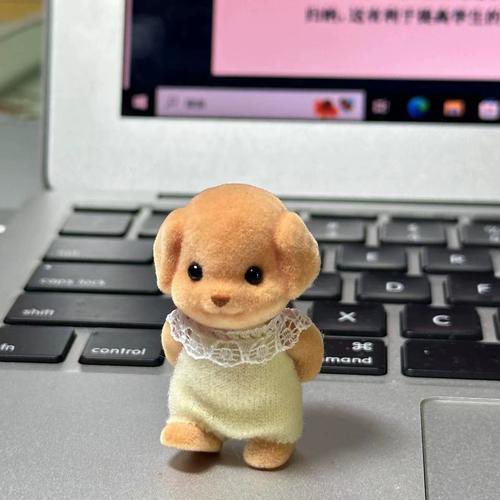 占有欲来了。都停下手里的事情 给我拍你们现在在干嘛 https://t.co/L7by2DAUET