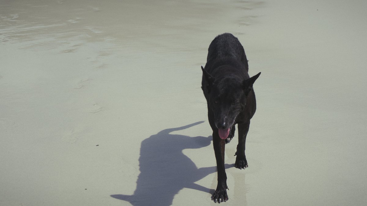 拍些 想拍的 https://t.co/Eyy6J54IEW