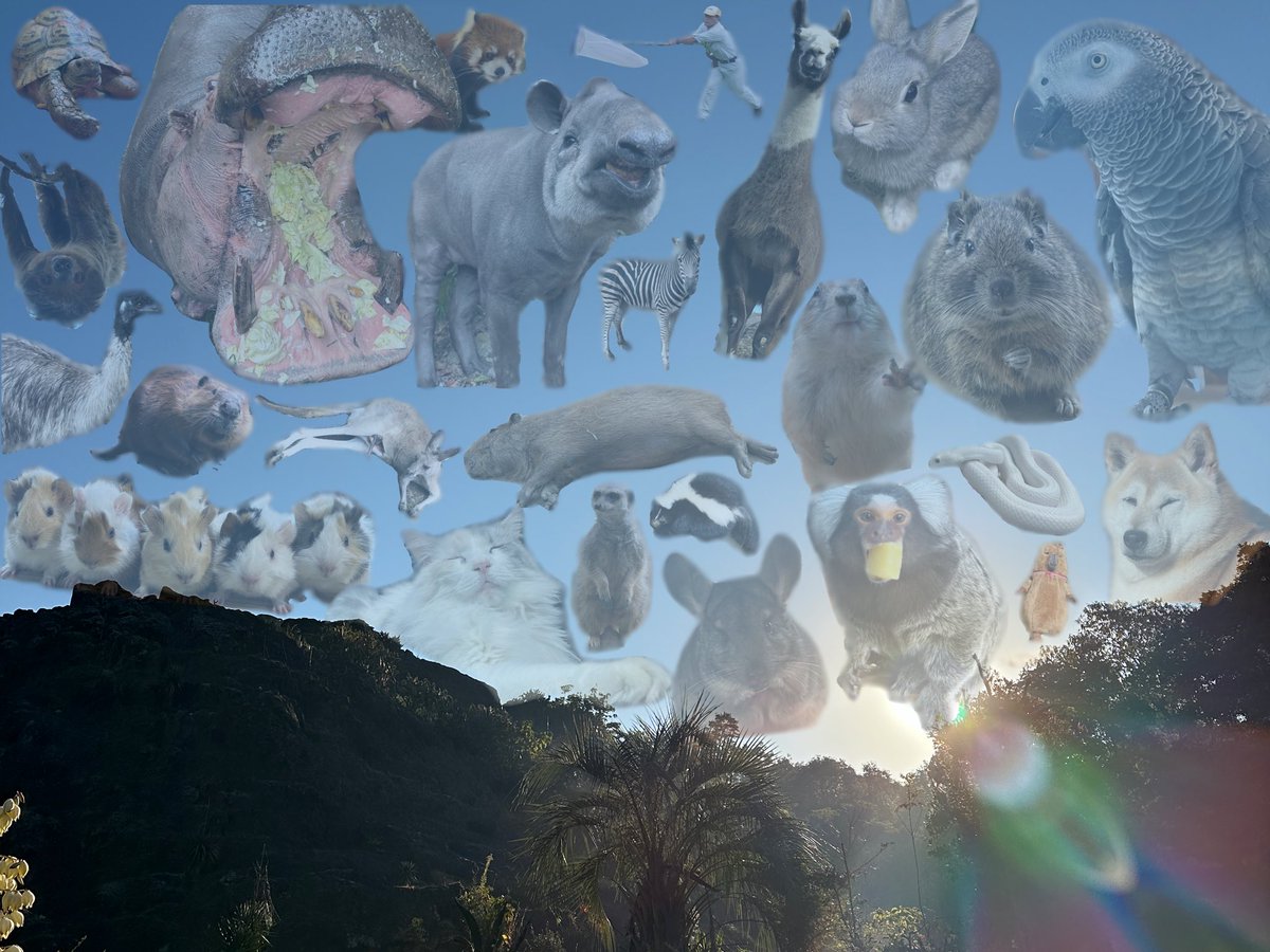 飼育員、休日に他の動物園に行くとこうなります💭

#飼育員あるある 
#長崎バイオパーク https://t.co/8pYuQXJ56Q