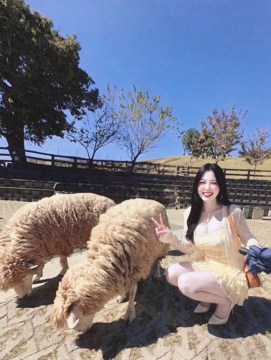 全台灣大概也只有我這麼笨會穿細高跟來青青草原吧🤦‍♀️🤦‍♀️🤦‍♀️ https://t.co/ZTbaIVLY6T