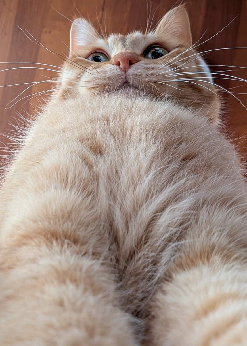 待っていたぞ https://t.co/1gMzh8l8MX