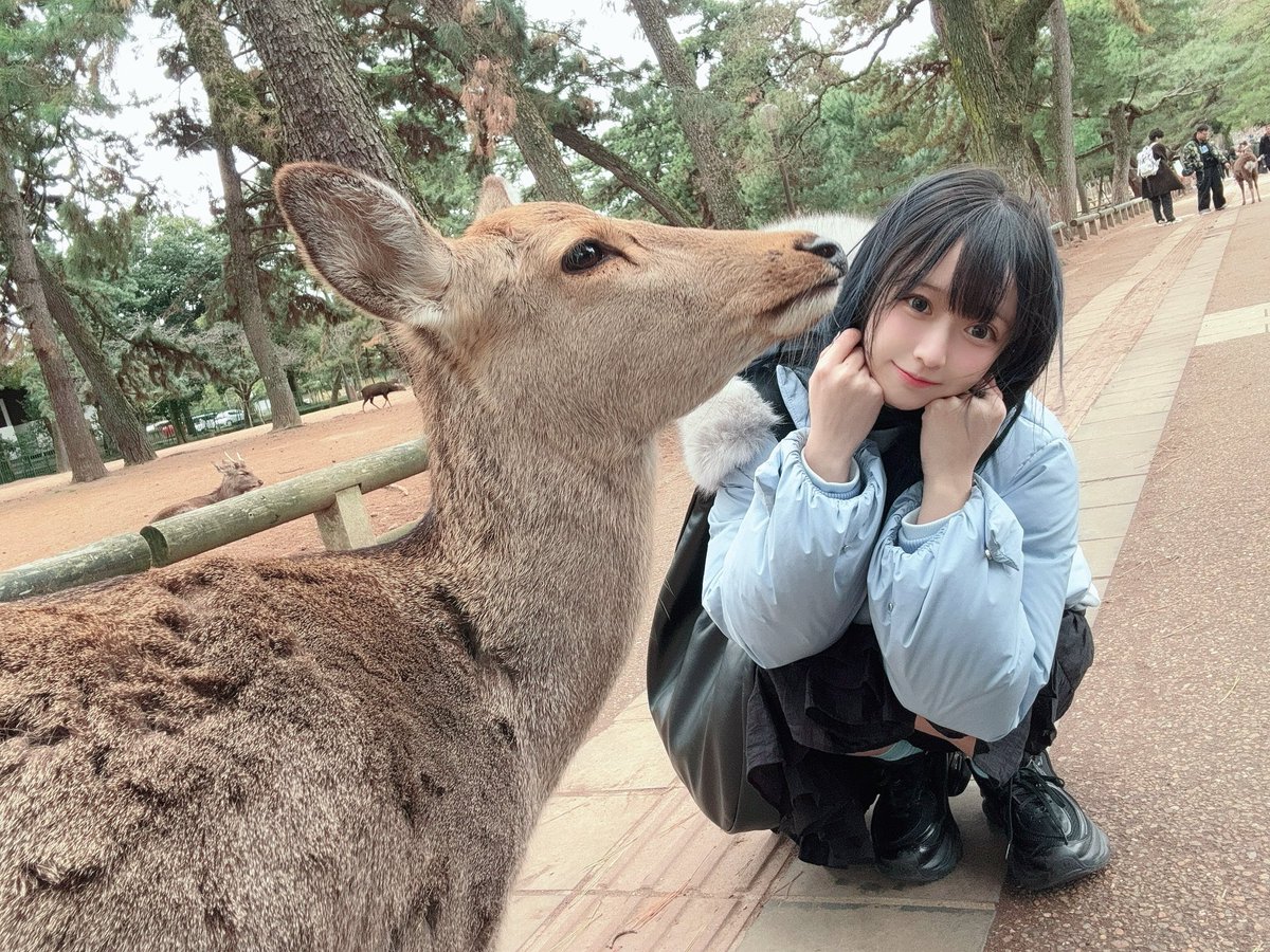 🦌！👀！ https://t.co/yfqc4g2jjw