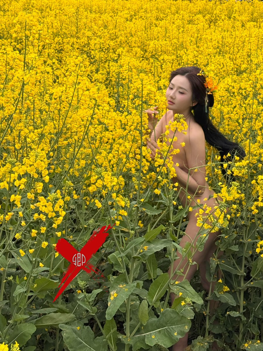 黄花漫野，绿意织锦。
身是客，梦是春。

🎞️ 贵州民族主题艺术人体
       超值代拍正在招募• 仅3席
• 详情查看置顶@qingvision2025 

原创投稿· 感谢转推📬：
@Fengsiyuan
@wqganenshi_
@tbzt2024
@DnewHome https://t.co/3xcKhEUNrG