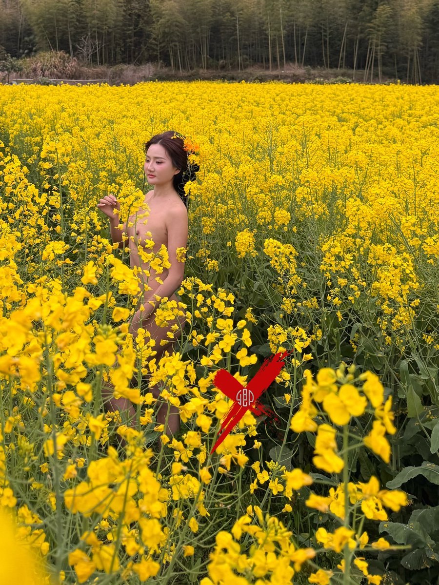 黄花漫野，绿意织锦。
身是客，梦是春。

🎞️ 贵州民族主题艺术人体
       超值代拍正在招募• 仅3席
• 详情查看置顶@qingvision2025 

原创投稿· 感谢转推📬：
@Fengsiyuan
@wqganenshi_
@tbzt2024
@DnewHome https://t.co/3xcKhEUNrG