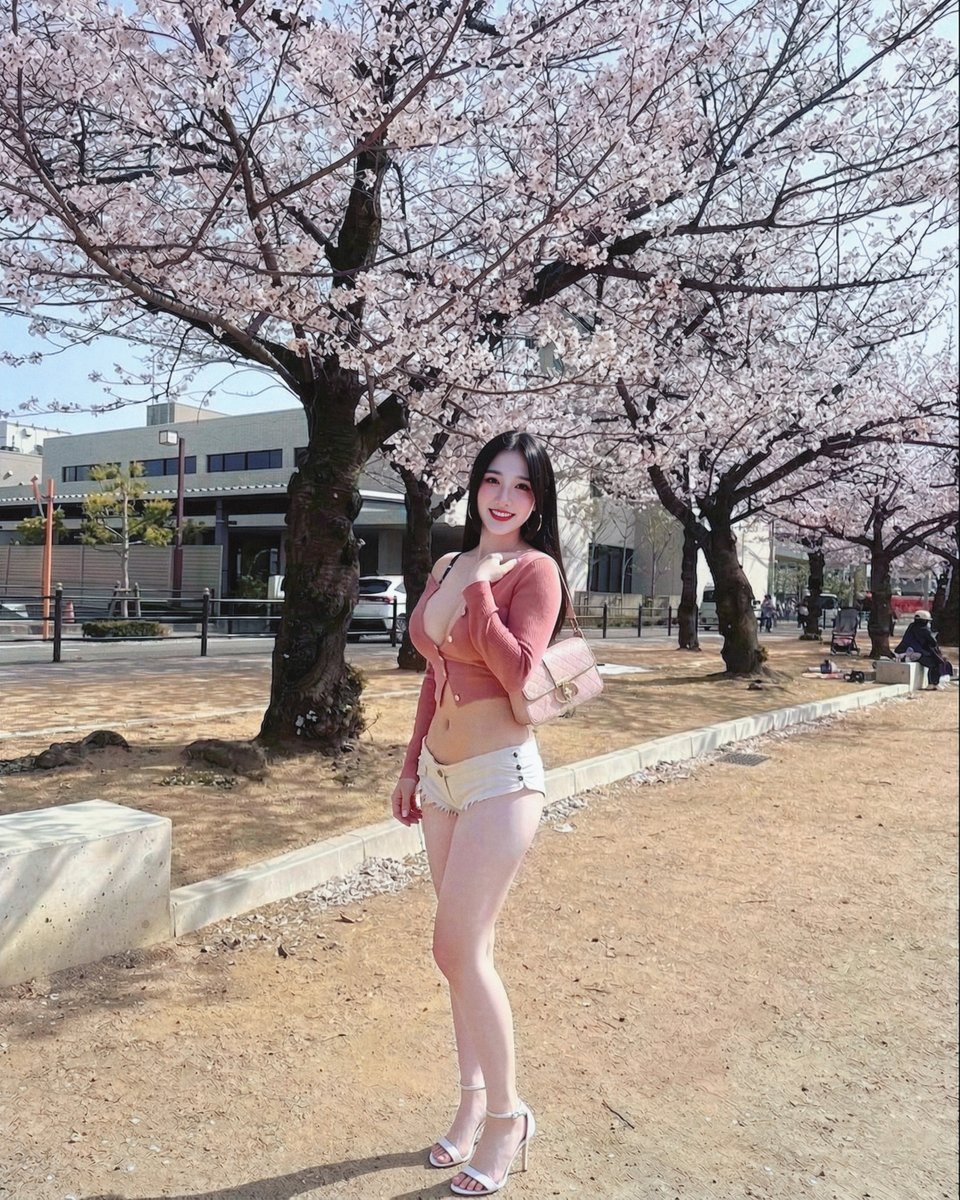 今年櫻花季快結束了🥹 https://t.co/9h11oOaLMk