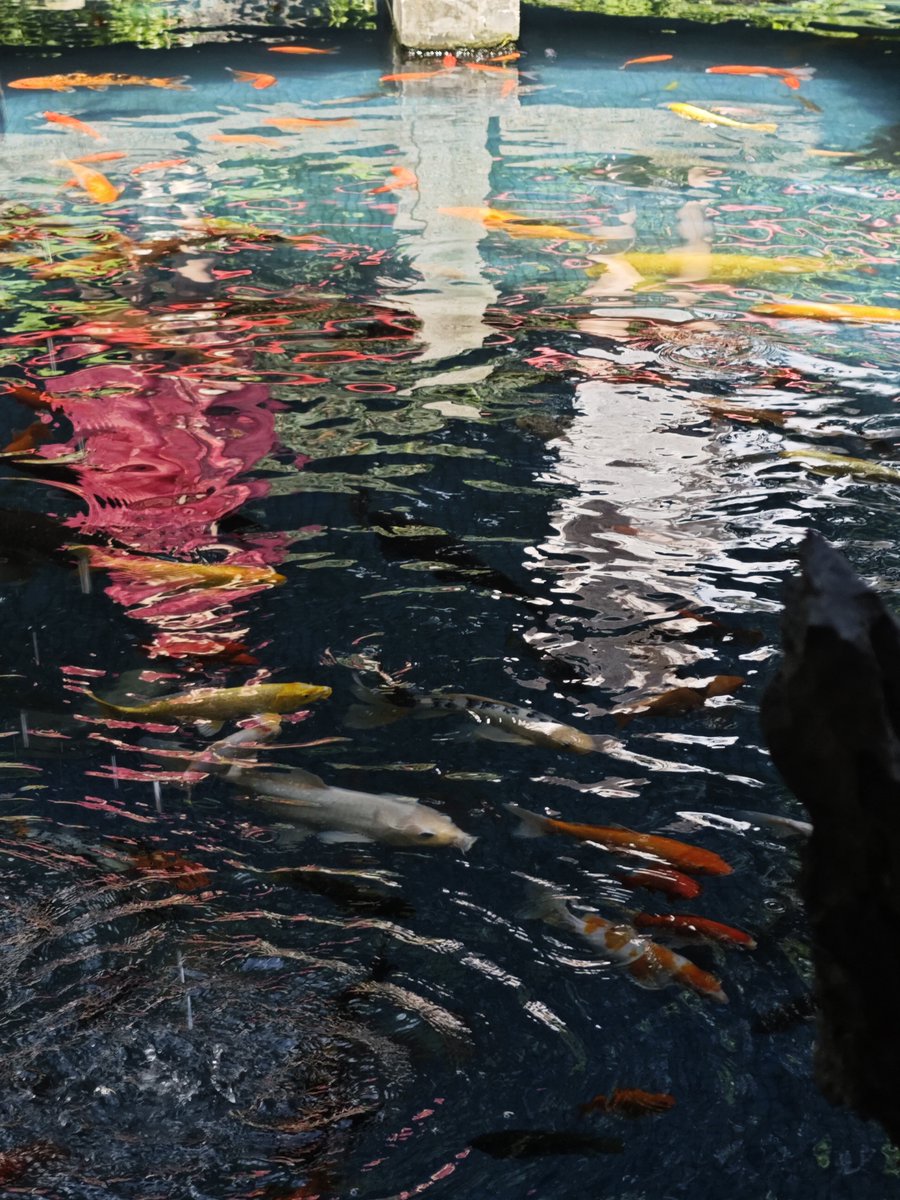 今天来点素的 https://t.co/AV7lnP95So