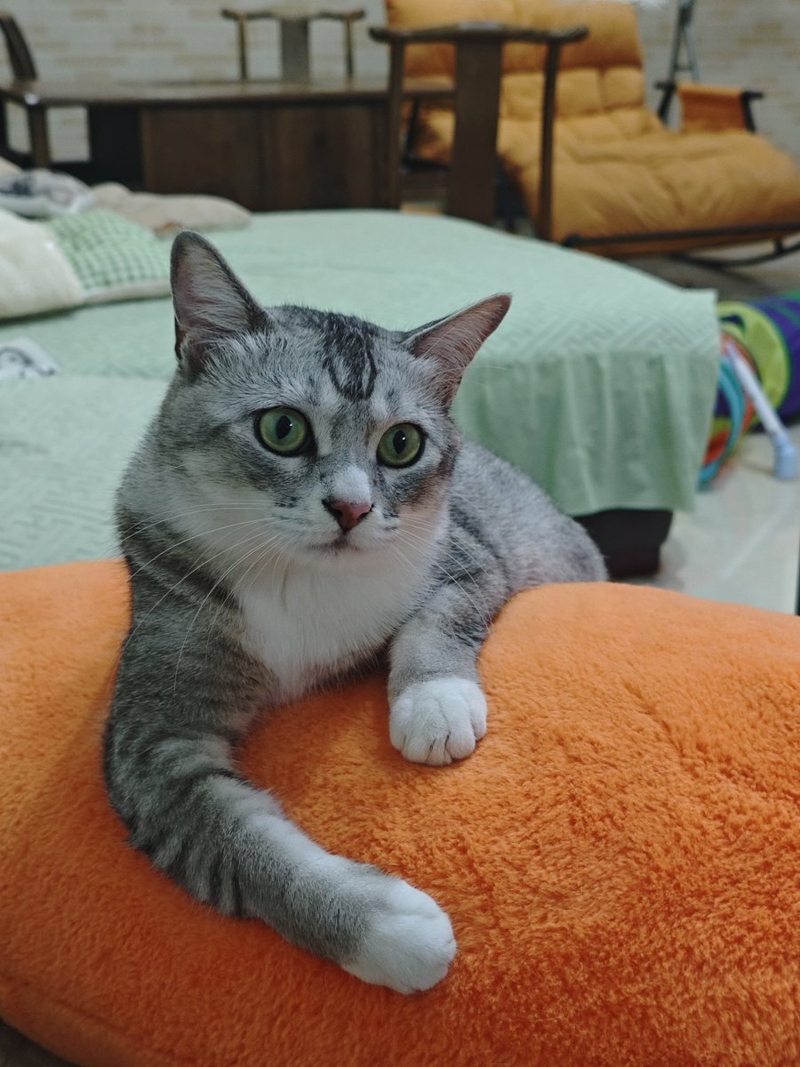 咪这手臂咋样 https://t.co/Jj3WKmJdst