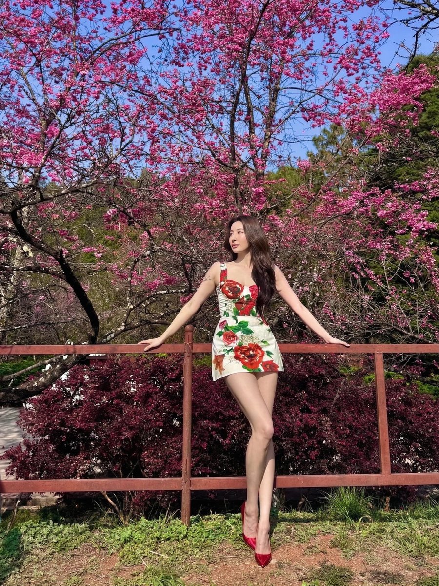 花是开给春天看的，我是开给你看的 https://t.co/0od0slImOz