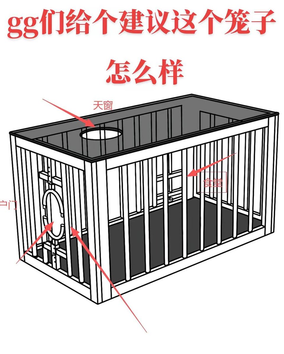 嘿@grok   试试让左边的女孩子完美适配右边的照片 https://t.co/QLBFOBlLw3