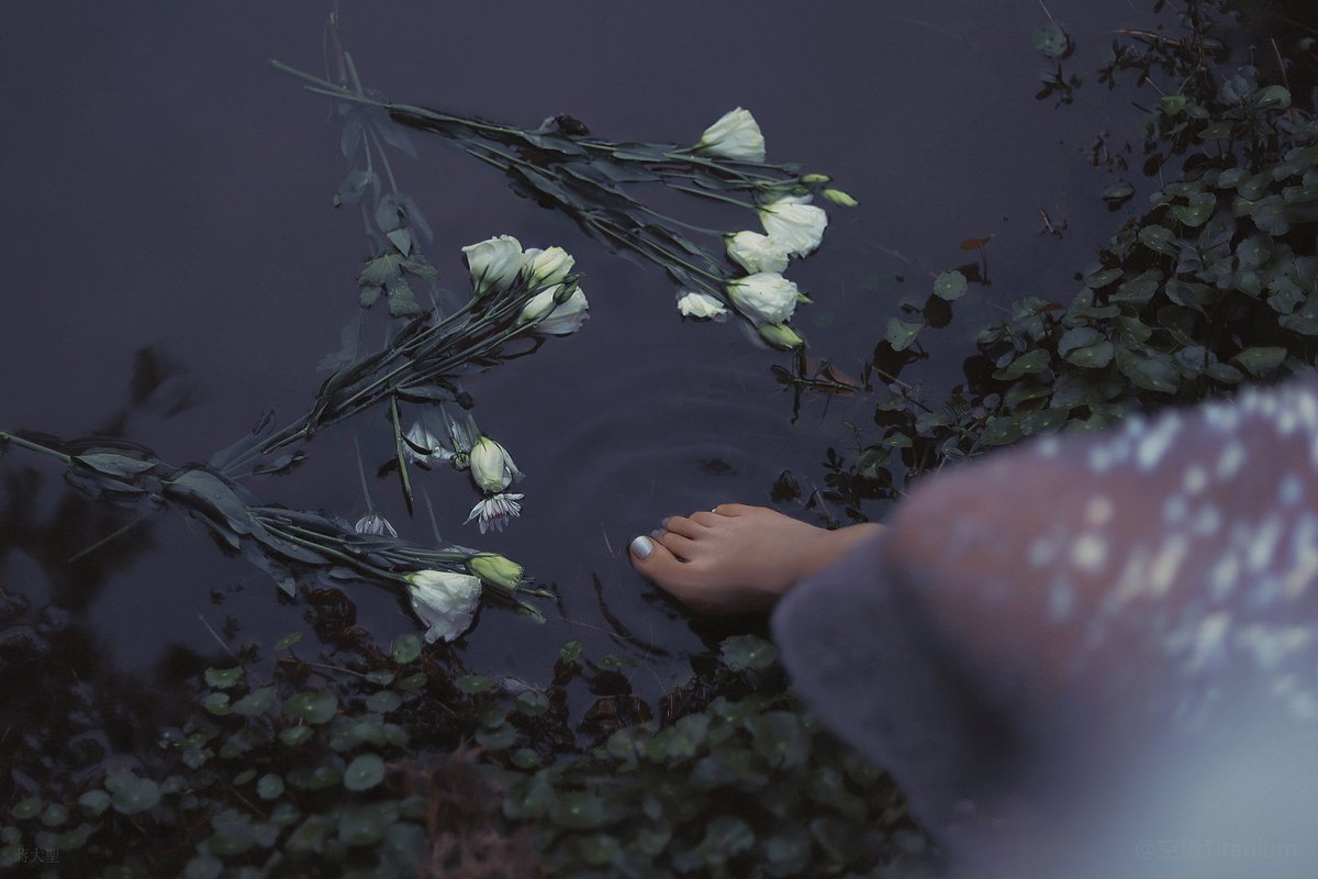 “花满盛夏里”  

摄影：@kjtitanium_

#与浪漫为伍 https://t.co/hBOYBZ58ov