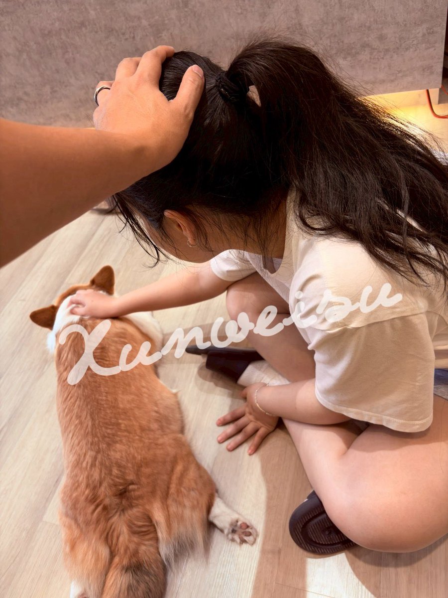 台南的寵物友善咖啡廳，帶著家犬@katsuobushi_yu 去認識新朋友 https://t.co/5hd5svTKg3