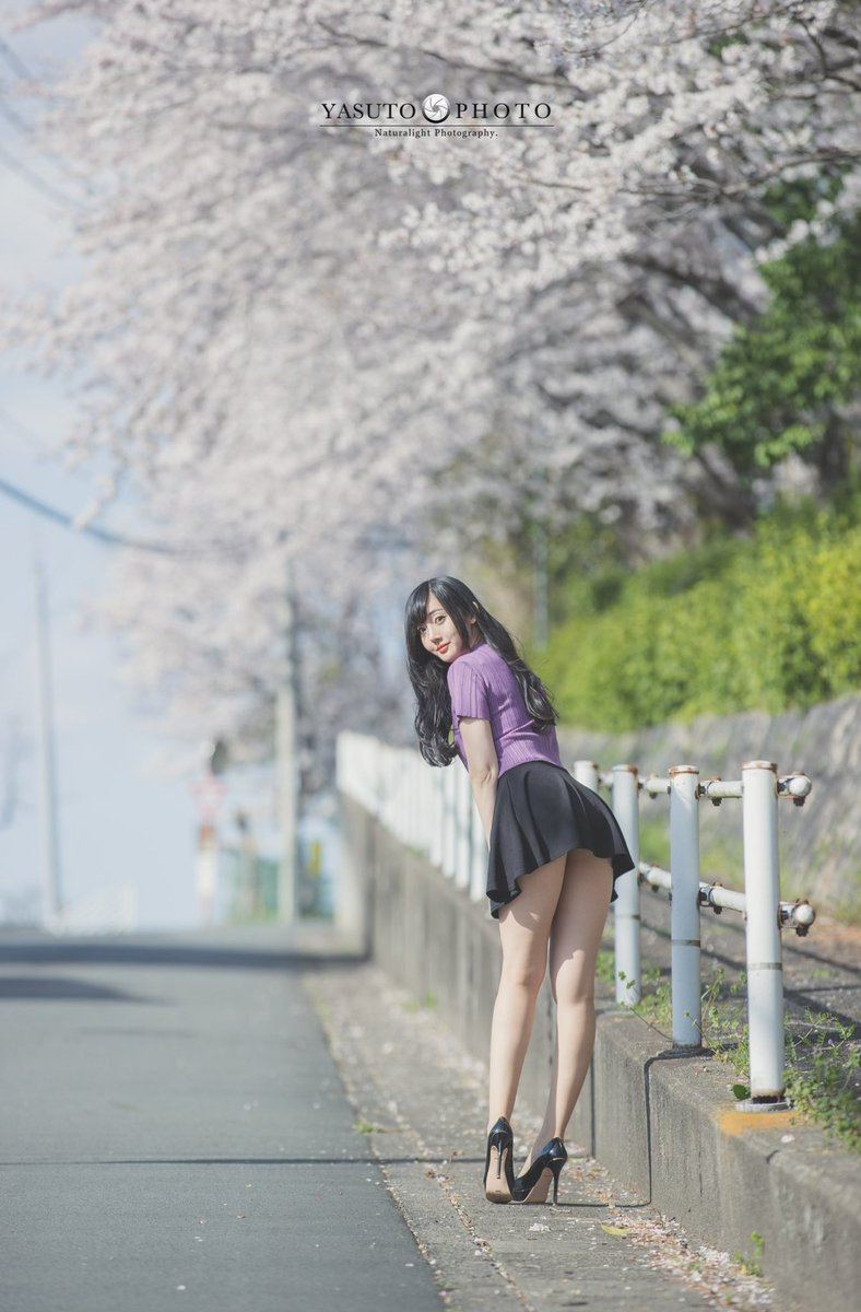 満開のソメイヨシノ🌸 https://t.co/bwThiMItva