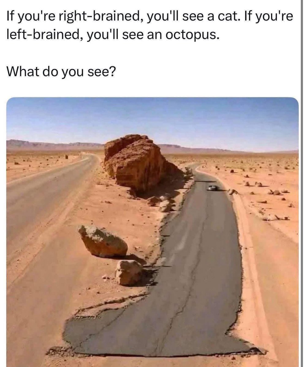 what do you see? https://t.co/CQKQAyjnq8