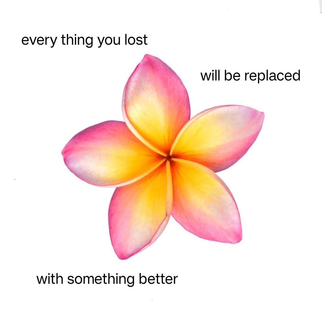 🌸 https://t.co/ZT4PL8lEOn