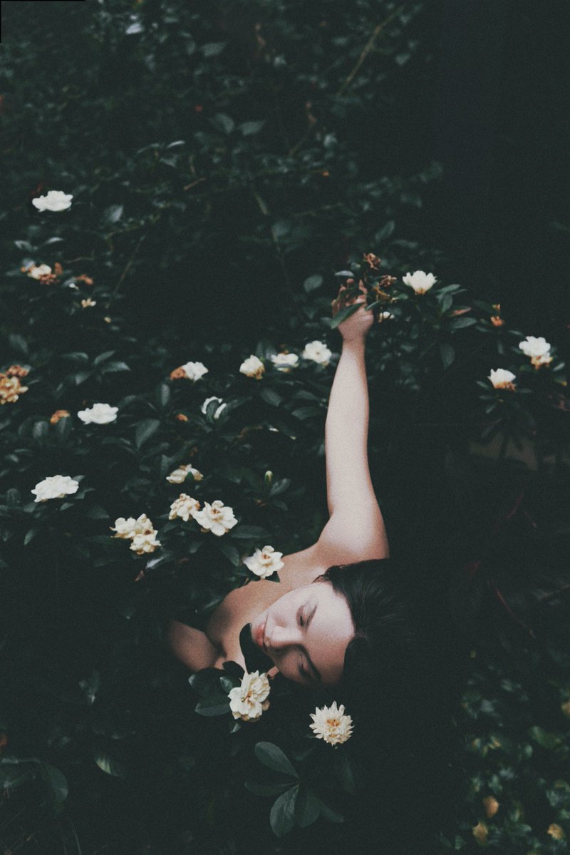 茶花

📷@chriswenphoto 

@Fengsiyuan https://t.co/ocjUUeifM8