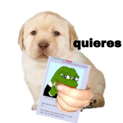 hourly_shitpost