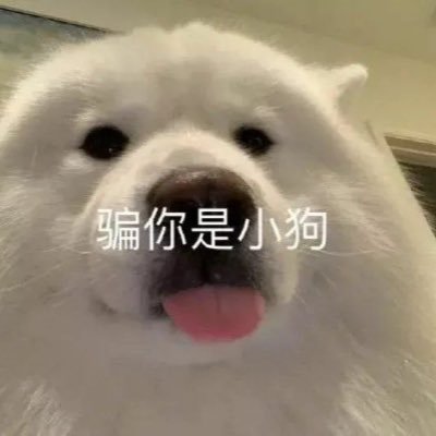 kevinjai208