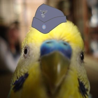 Ktokeito