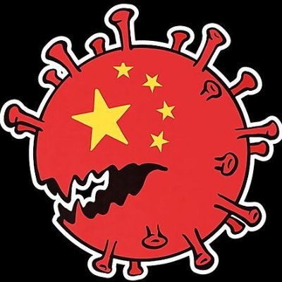xibaozi36064237