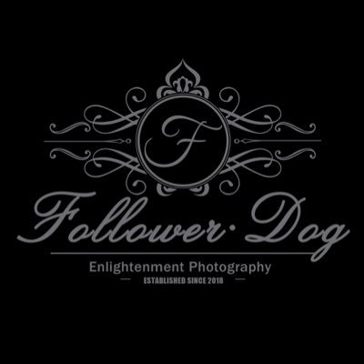 FollowerDog_X