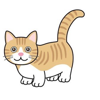 SJhrg3QYpQWQxw8