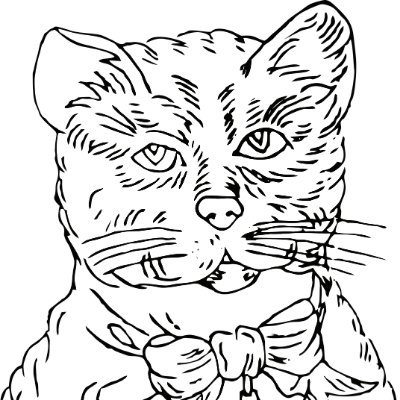 raycat2021