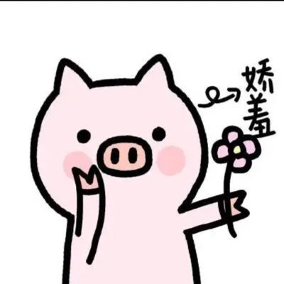 Piggytall_Zhu