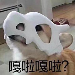 蛋烘糕