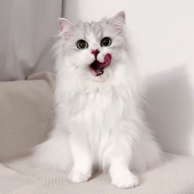 jie_0_0_jie