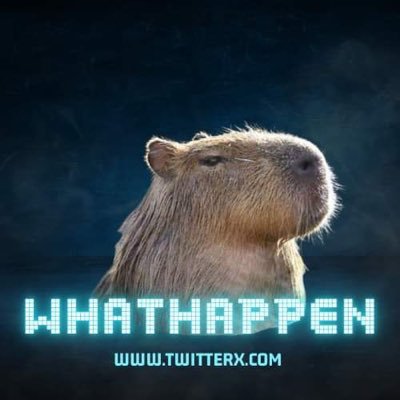 Mr_Whathapened