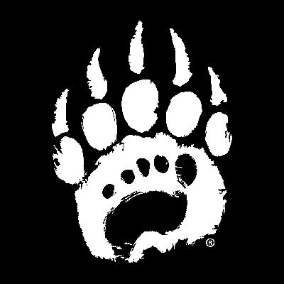 Bearfoot_Co