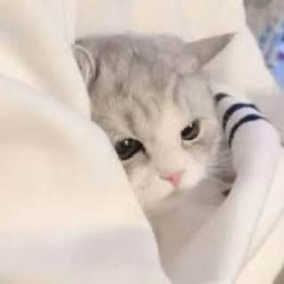 每日大赛