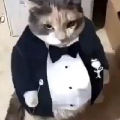 StuntCunnings