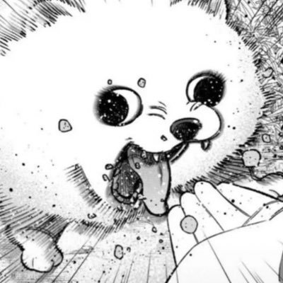 HowL524