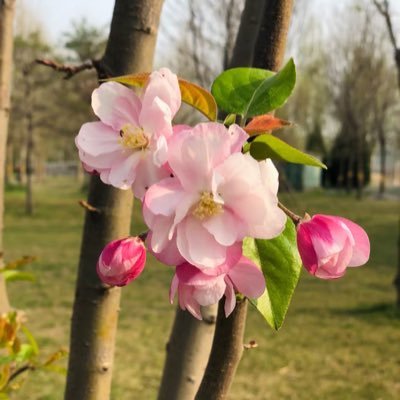 huanfq