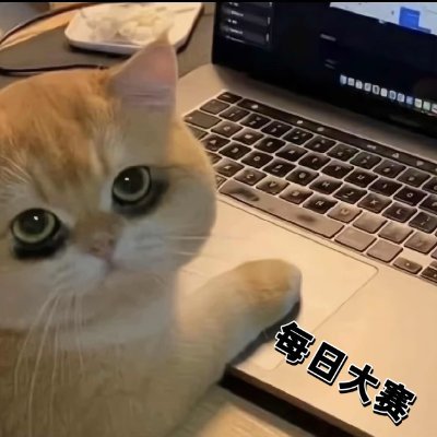 每日大赛