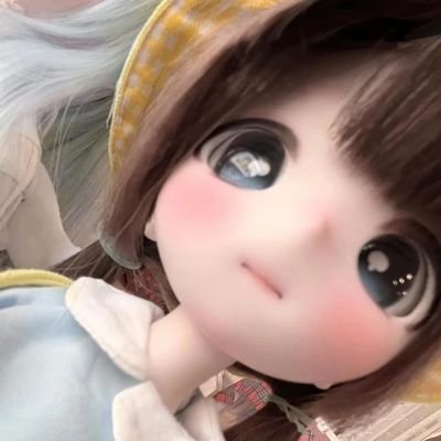 shushuaidami
