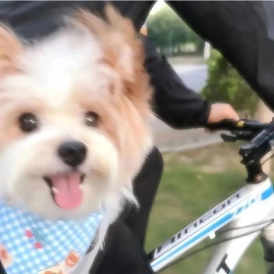 babytudou