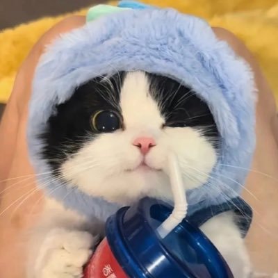 willie_arn17301
