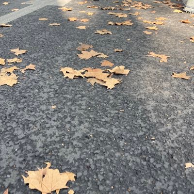 邪派